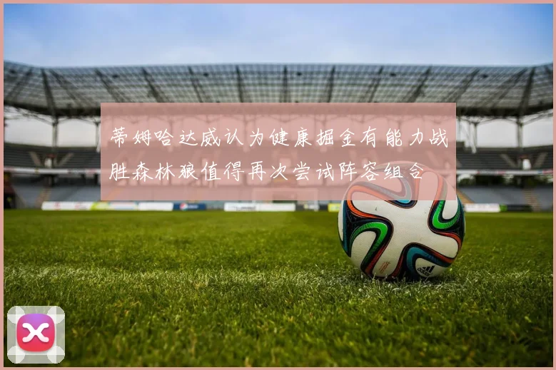 蒂姆哈达威认为健康掘金有能力战胜森林狼值得再次尝试阵容组合